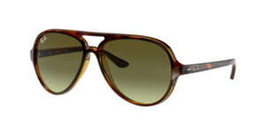 Ray-Ban 0RB4125 710/A6