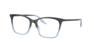 Ray-Ban 0RX5422 8309