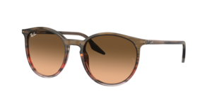 Ray-Ban 0RB2204 13953B