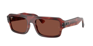 Ray-Ban 0RB4454 1452C5