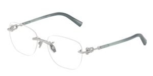 Tiffany & Co. 0TF1170D 6001
