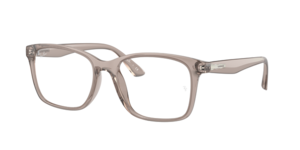 Ray-Ban 0RX7059D 5920