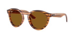 Ray-Ban 0RBR0505S 679183