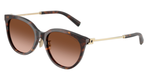 Tiffany & Co. 0TF4243D 80153B