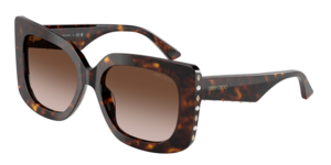 Jimmy Choo 0JC5025HF 500213