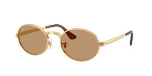 Ray-Ban 0RB3931 001/53