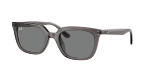 Ray-Ban 0RB4439D 667587