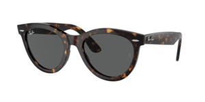 Ray-Ban 0RB2241 902/B1