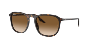 Ray-Ban 0RB2203 902/51