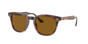 Ray-Ban 0RB2298 954/33