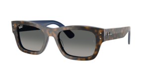 Ray-Ban 0RB7683S 140171