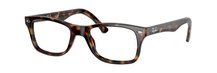 Ray-Ban 0RX5228 2012