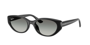Ray-Ban 0RB4457D 667711