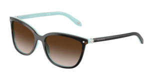 Tiffany & Co. 0TF4105HB 81343B