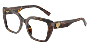 Dolce & Gabbana 0DG3441 502
