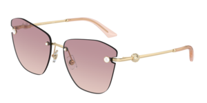 Jimmy Choo 0JC4004HB 300668