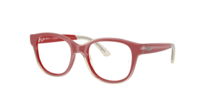 Ray-Ban 0RY1950 7204