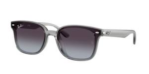 Ray-Ban 0RB4461D 64508G