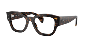 Ray-Ban 0RX7681V 2012
