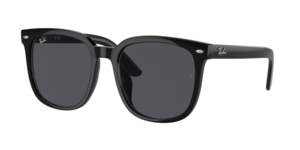 Ray-Ban 0RB4401D 601/87