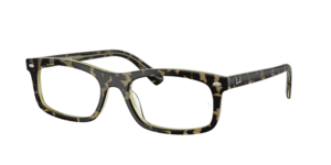 Ray-Ban 0RX5450 8485