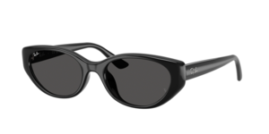 Ray-Ban 0RB4457D 667787