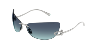 Tiffany & Co. 0TF3112K 62139S