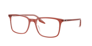 Ray-Ban 0RX5421 8171