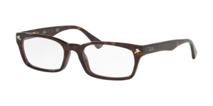 Ray-Ban 0RX5017A 2012