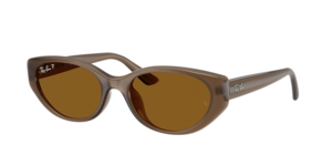 Ray-Ban 0RB4457D 677983