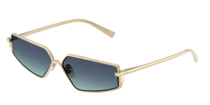 Tiffany & Co. 0TF3113KB 62239S