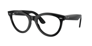 Ray-Ban 0RX2241V 2000