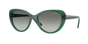 Vogue Eyewear 0VO5649SI 283411