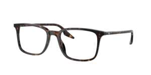 Ray-Ban 0RX5421 2012