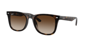 Ray-Ban 0RB4420 710/13