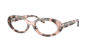Ray-Ban 0RX2223V 8481
