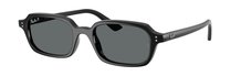 Ray-Ban 0RB4455 667781