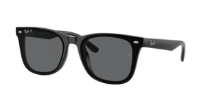 Ray-Ban 0RB4391D 601/81