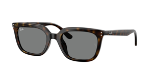 Ray-Ban 0RB4439D 710/87