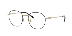 Ray-Ban 0RX8778D 1250
