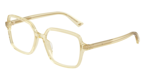 Jimmy Choo 0JC3046U 5083