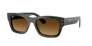 Ray-Ban 0RB7683S 140285