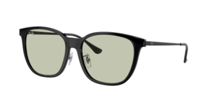 Ray-Ban 0RB4333D 601/2