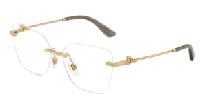 Dolce & Gabbana 0DG1363 02