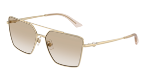 Jimmy Choo 0JC4016HB 300611
