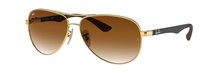 Ray-Ban 0RB8313 001/51