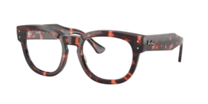 Ray-Ban 0RX0298V 8118