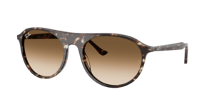 Ray-Ban 0RB2215 143151