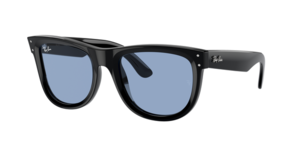 Ray-Ban 0RBR0502S 667772