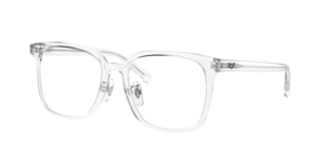 Ray-Ban 0RX5419D 2001